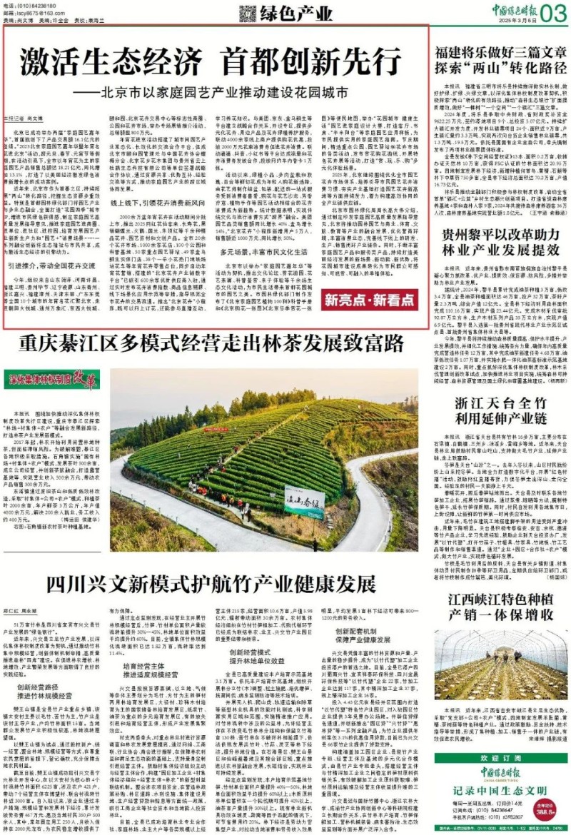激活生态经济 首都创新先行 - 关注森林