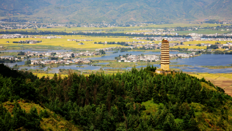 圖片