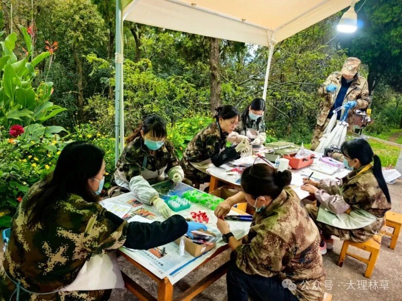 圖片
