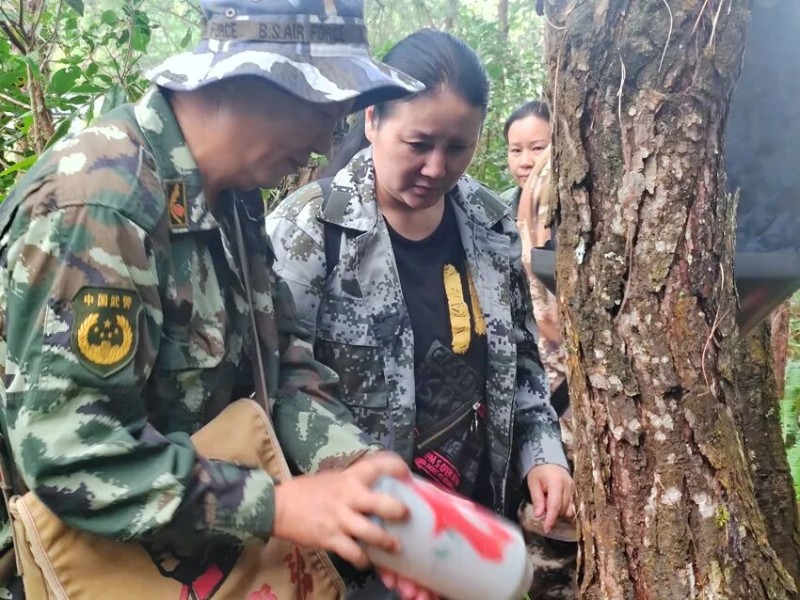 病蟲害監(jiān)測(cè)。張亞攝