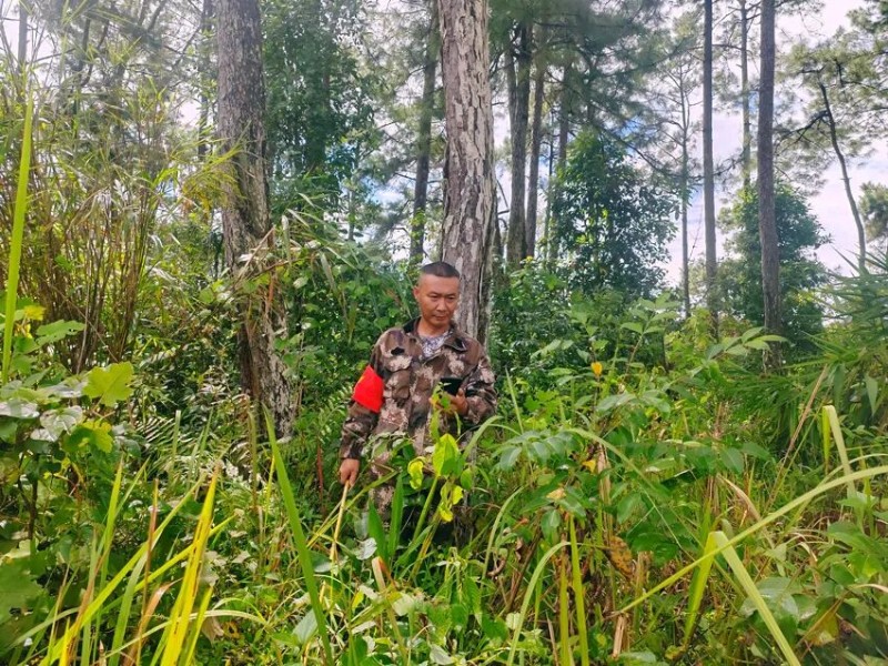 生態(tài)巡林App打卡。羅翔攝