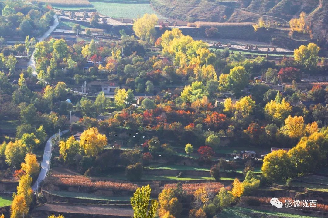 陇西县巩昌镇金山村秋景美如画