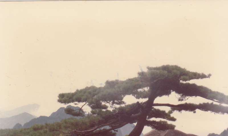 黄山风光1988_0003