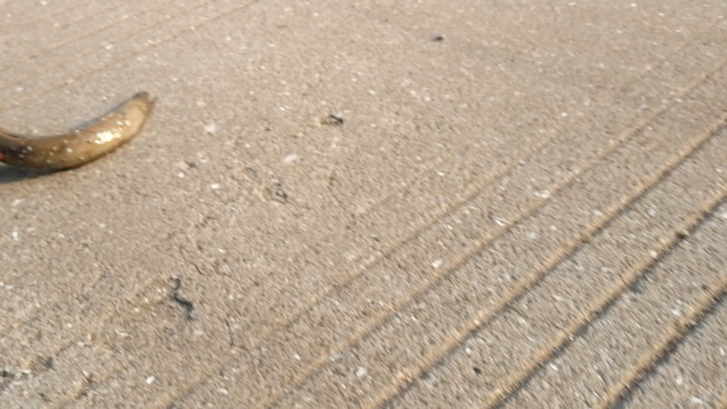 視頻預(yù)覽圖