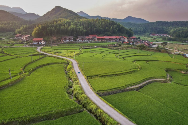 鄭益娟《田園風(fēng)光》13860999965攝于西苑鄉(xiāng)鳳山村鳳頂自然村