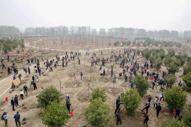2022年共和国部长义务植树活动在京举行5