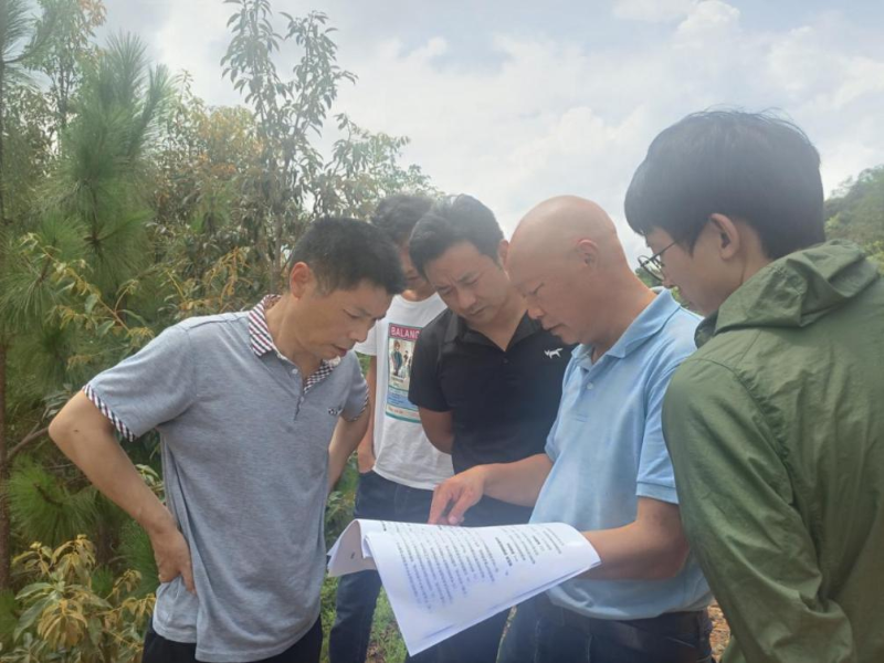 安宁市精细抚育 把牢森林质量关 - 关注森林