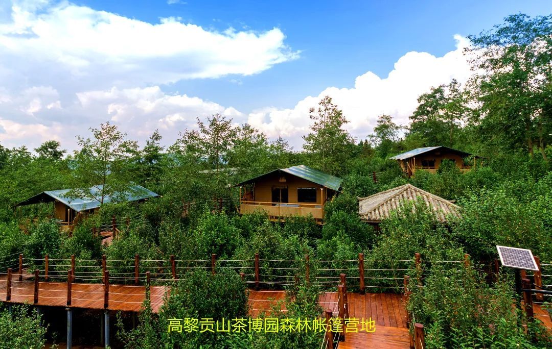 全面推深做实林长制 筑牢生态安全防护网|案例⑲——腾冲市采取五项措施 谋划八个方面产业建设 推动森林 - 关注森林