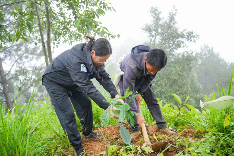 李慕蓉（图左）指导村民种植