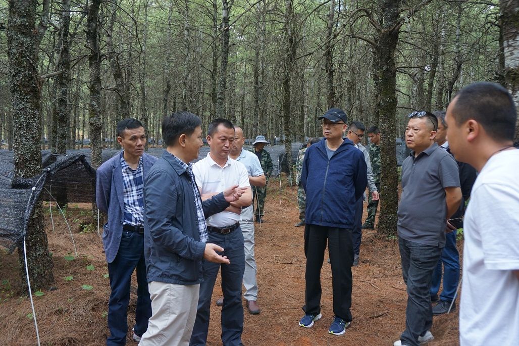 有林场多互动 学习交流共发展 ——江西省景德镇市枫树山林场到海口林场交流学习 - 关注森林