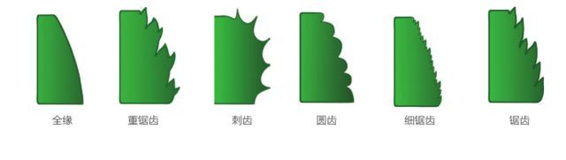 什么是美嘉体育平台植物？(图22)