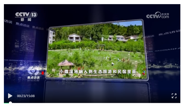 《焦点访谈》 小微湿地大能量 - 关注森林