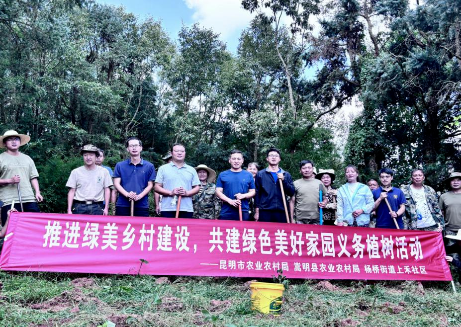 推进绿美乡村建设 共建绿色美好家园 - 关注森林