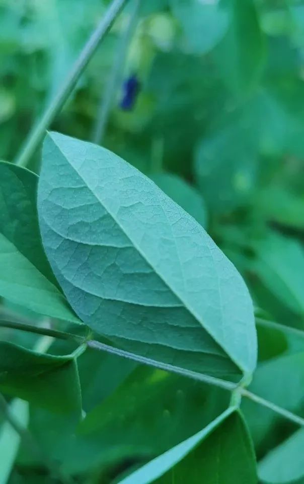 揭示背后隐藏的观影心理与文化现象