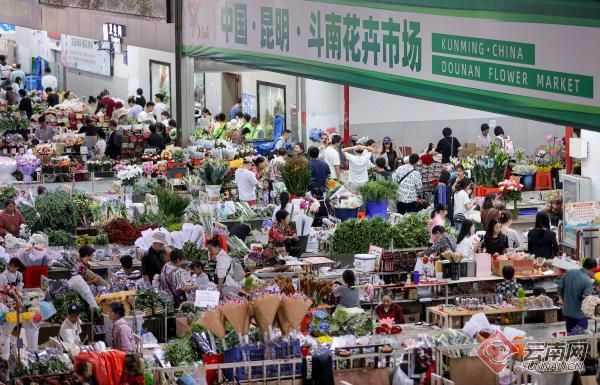 鲜花供应链：连接美好生活的纽带