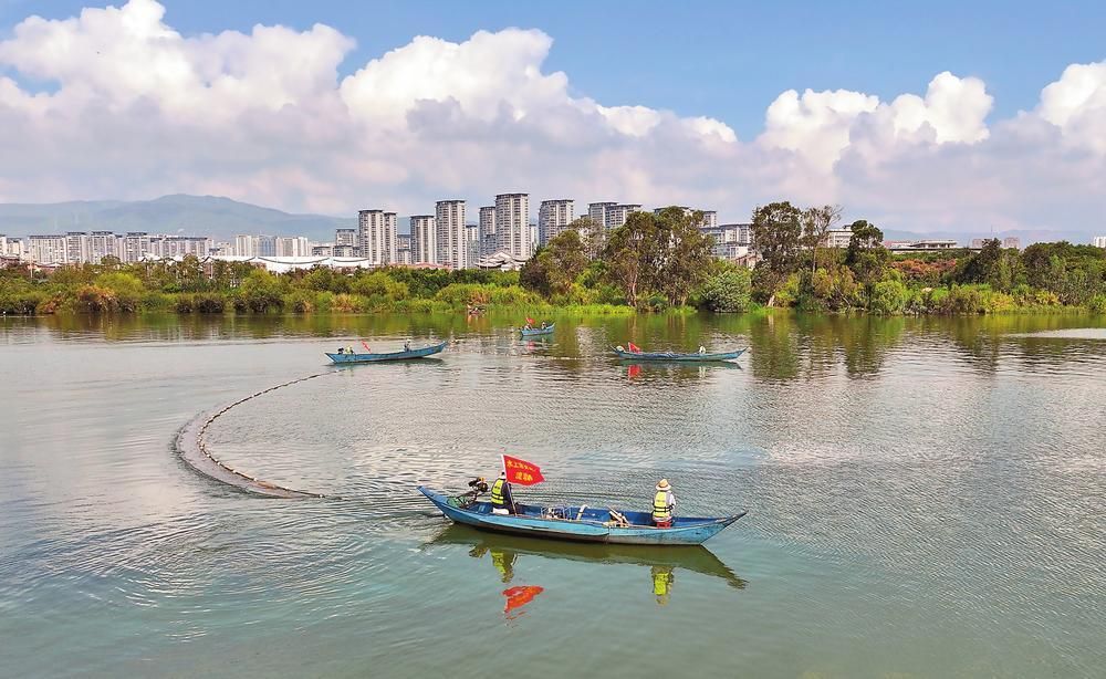 昆明市推进滇池湖滨生态恢复与建设工程 - 关注森林