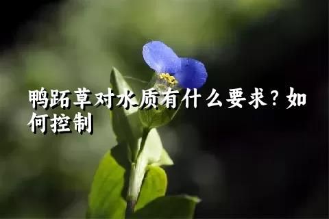 鸭跖草对水质有什么要求？如何控制