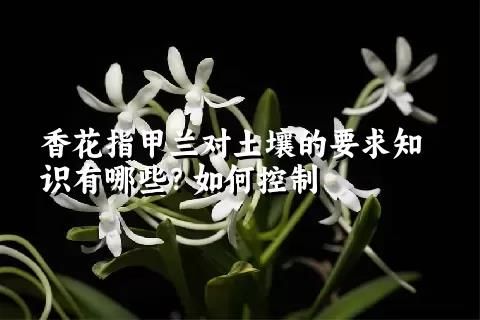 香花指甲兰对土壤的要求知识有哪些？如何控制