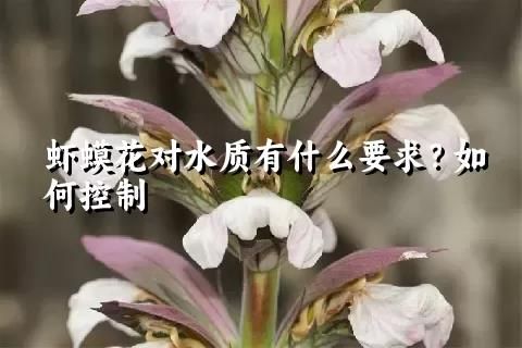 虾蟆花对水质有什么要求？如何控制