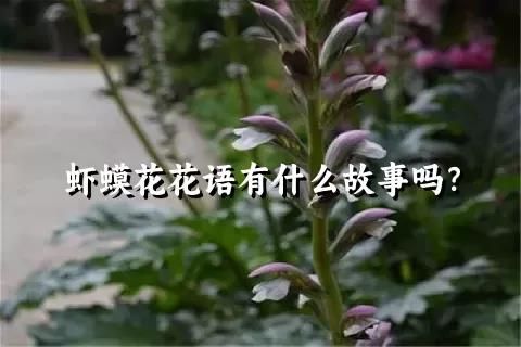 虾蟆花花语有什么故事吗？