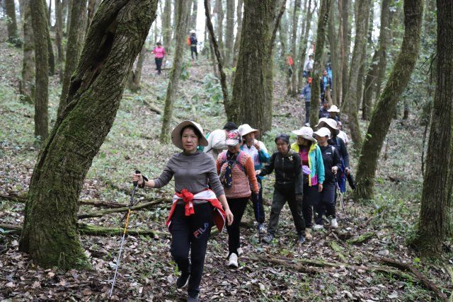 沿著茶馬古道穿山越嶺3.JPG