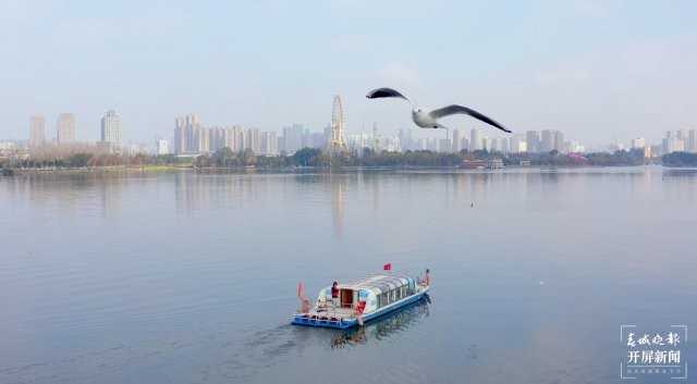 （采訪(fǎng)傳編輯）昆明觀鷗季“海陸空”全方位攻略，記者帶您玩轉(zhuǎn)冬日浪漫，水上觀鷗巴士可以欣賞到大觀公園、七孔浮橋等.jpg