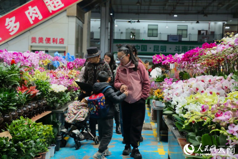 消費者在昆明斗南花市挑選鮮花。人民網(wǎng) 雷霽攝