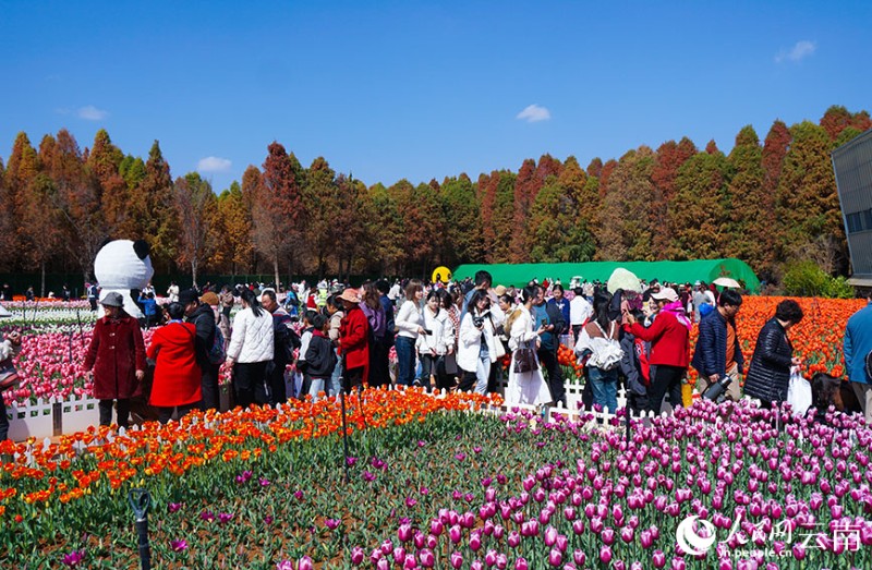 游客在撈魚河濕地公園觀賞郁金香。人民網(wǎng)記者 李發(fā)興攝