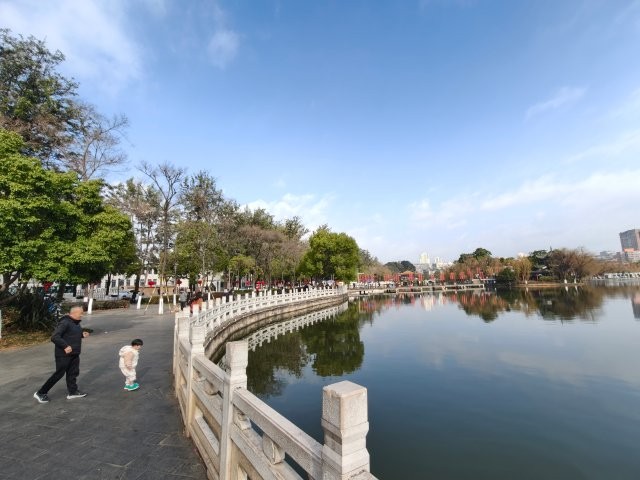 翠湖公園沒海鷗.jpg