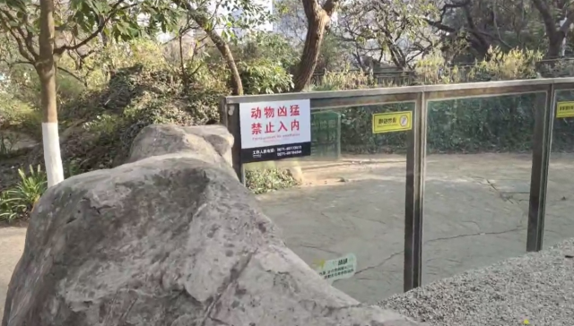 游客向昆明動物園水獺扔這種東西