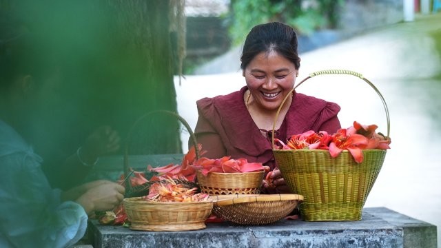 蔣芹香正在挑揀木棉花.jpg