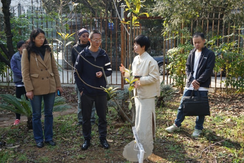 參觀人員參觀珍稀瀕危植物培育區(qū)