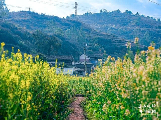 美好生活在云南 大理南澗：春日尋芳美若畫卷 (8).jpg