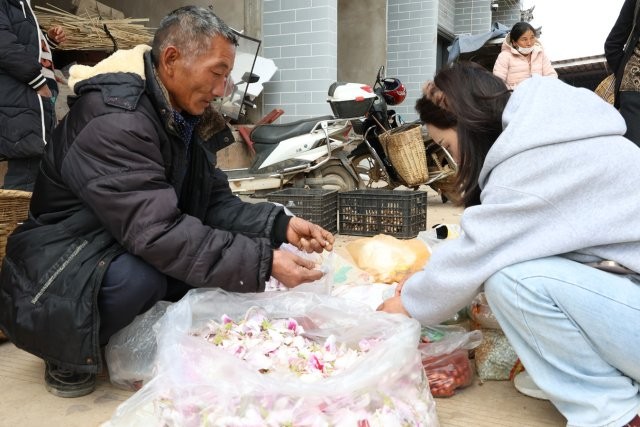 白露花銷售.JPG