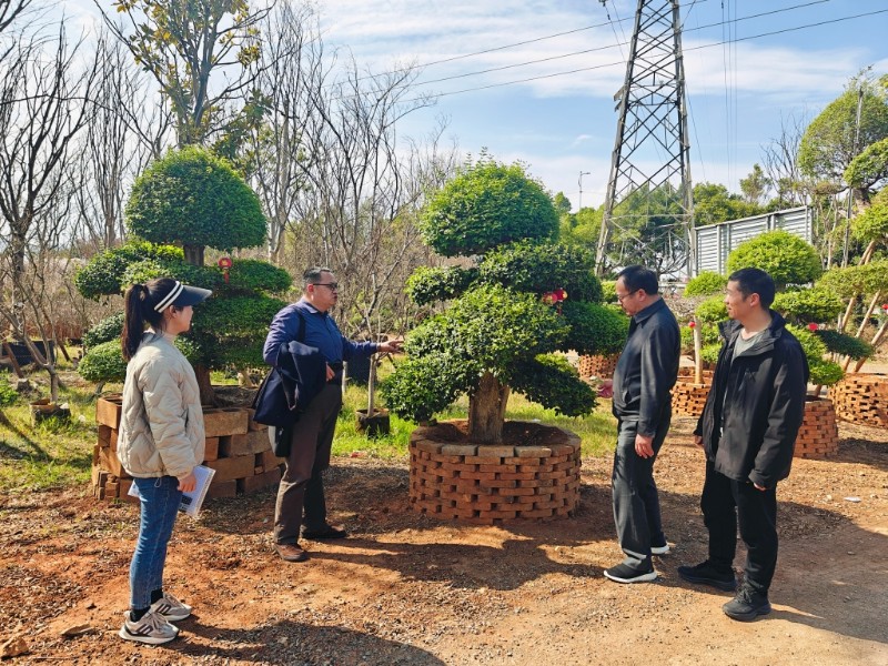 工作組實地察看苗圃