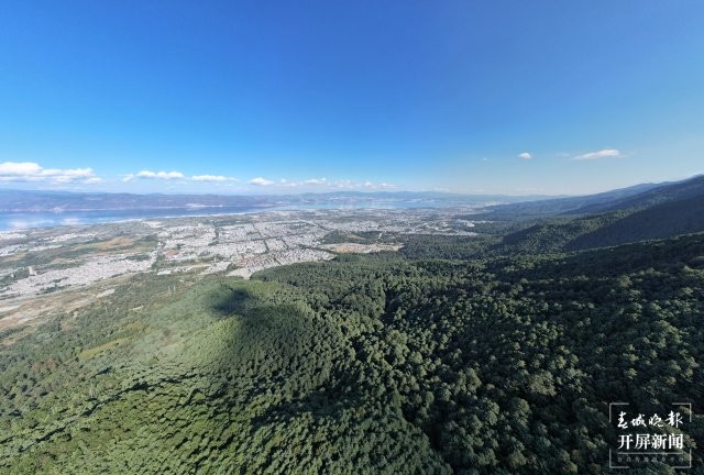 涉及蒼山保護(hù)！大理擬建1條森林防火應(yīng)急通道.JPG