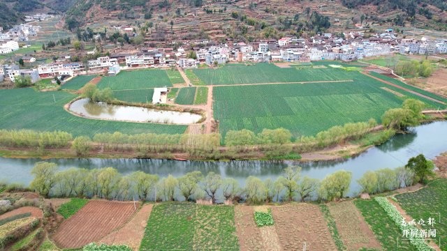 蔬菜基地。尹永權(quán) 攝 (1).JPG