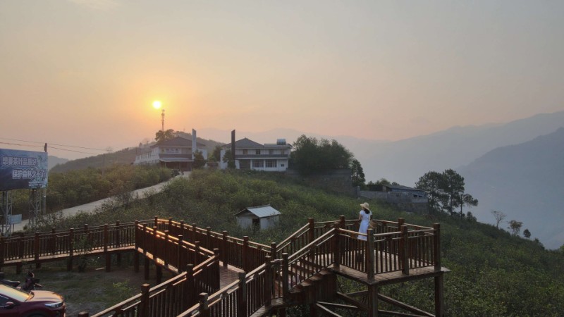 忙肺茶山.jpg