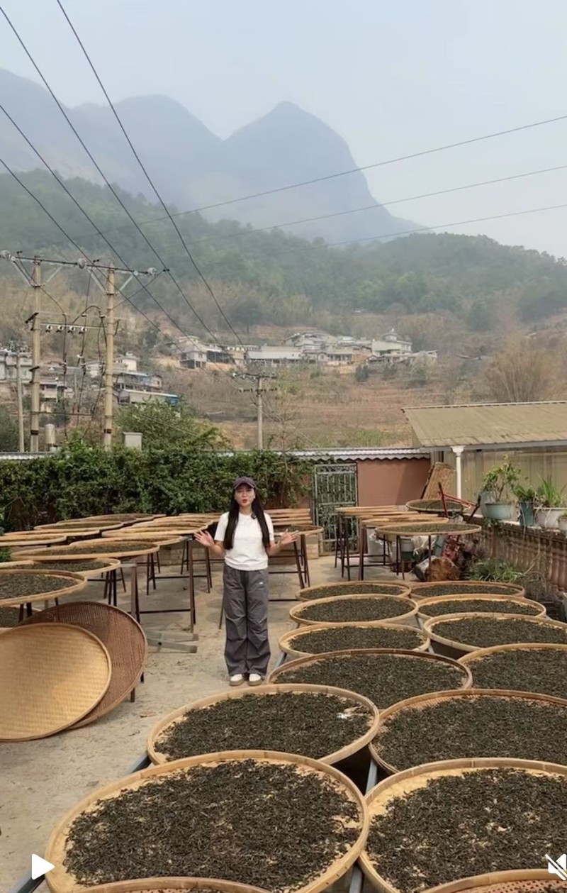 茶農(nóng)李建蘭4.jpg