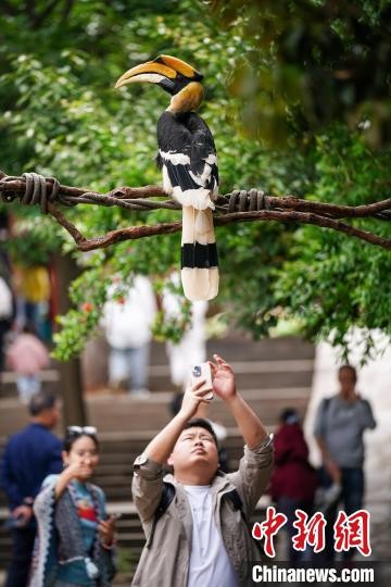 云南野生動物園五一假期“上新”萌獸齊亮相