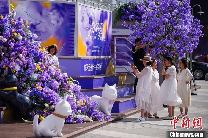 昆明商場(chǎng)打造藍(lán)花楹花海引民眾打卡