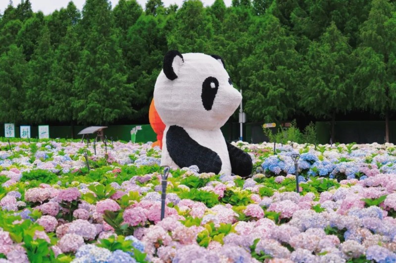 圖3.jpg