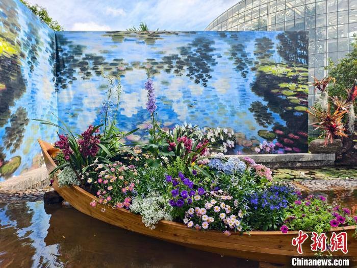 4月18日，蘭花展展出的蘭花小船色彩繽紛。中新網(wǎng)記者 韓帥南 攝