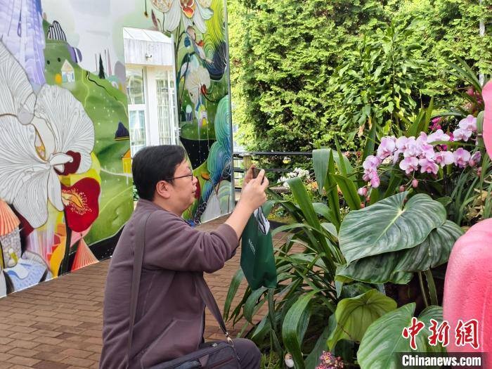 4月18日，參觀者拍攝蘭花。中新網(wǎng)記者 韓帥南 攝