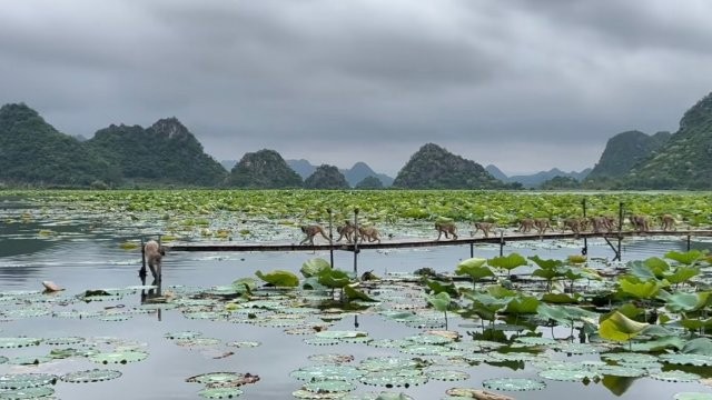 微信圖片_20250707173948.jpg