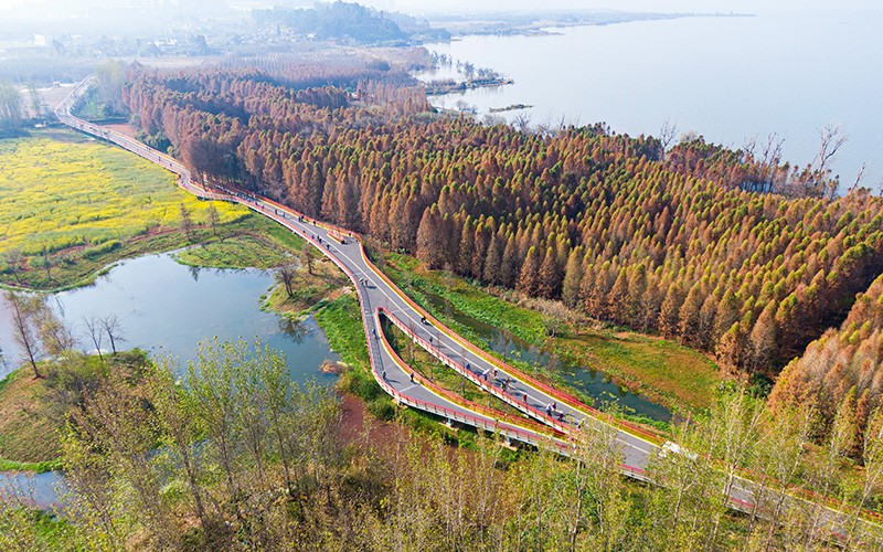   游客在滇池綠道上游玩。 李發(fā)興攝