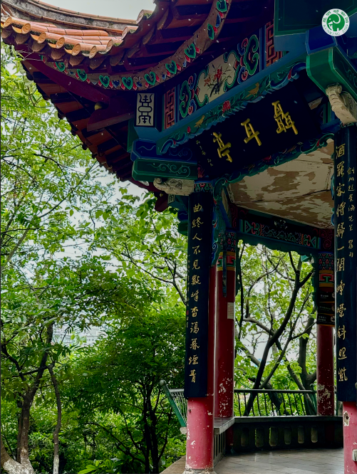 圖片