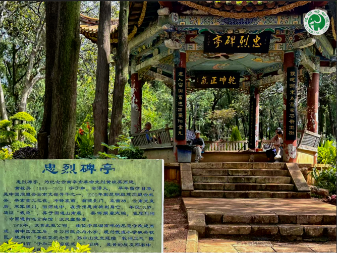 圖片