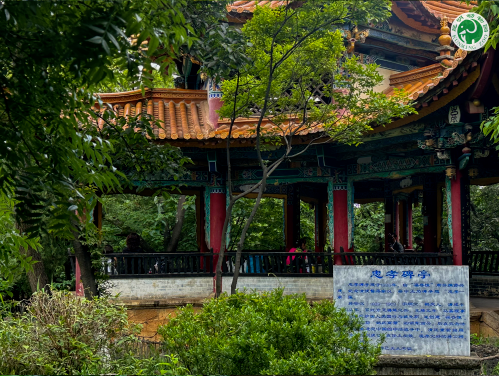 圖片