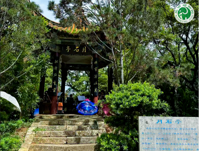 圖片